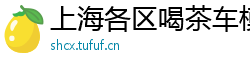 上海各区喝茶车模